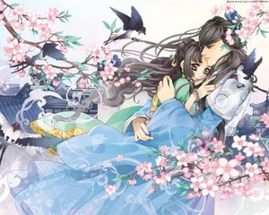 嫰草视频一区二区三区
